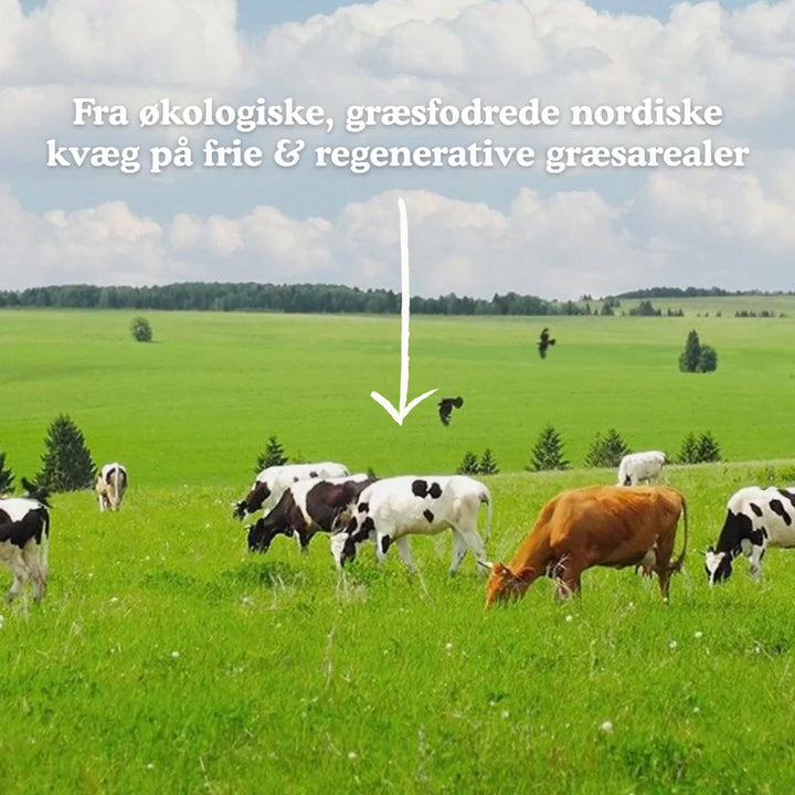 Functional Future Biologisch Bone Broth Kollagen (300 stuks)