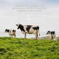 Functional Future Biologisch Okselever (200 stuks)