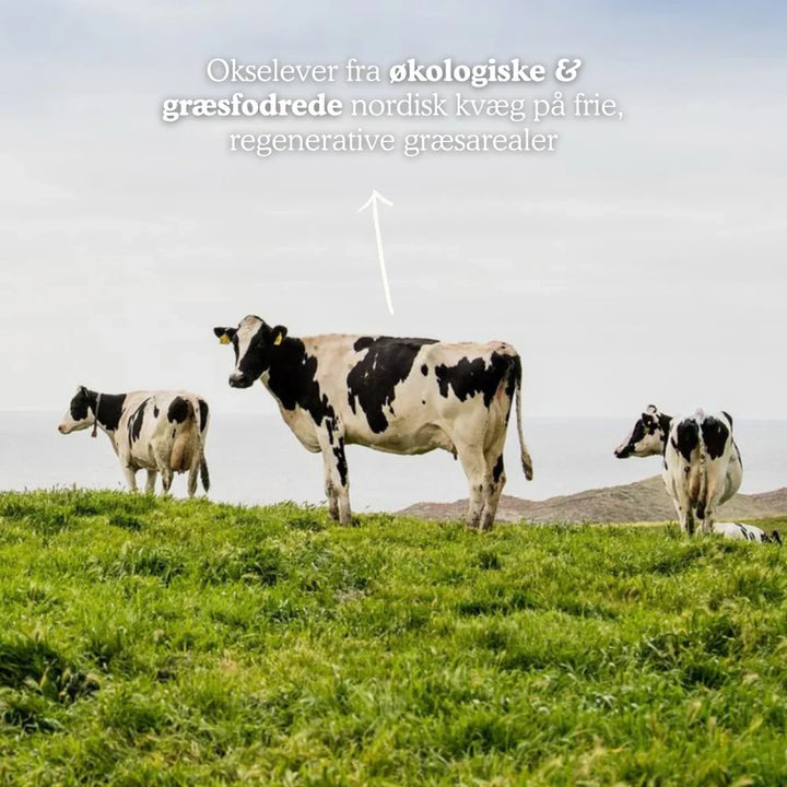 Functional Future Biologisch Okselever (200 stuks)